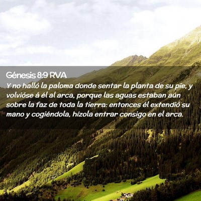 Picture 02 - Génesis 8:9 RVA - Y no halló la paloma donde sentar la planta de - Bible Verse Picture