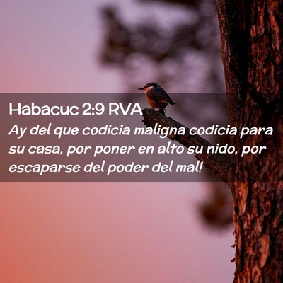 Picture 02 - Habacuc 2:9 RVA - Ay del que codicia maligna codicia para su casa, - Bible Verse Picture