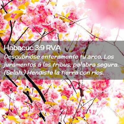 Picture 02 - Habacuc 3:9 RVA - Descubrióse enteramente tu arco, Los juramentos - Bible Verse Picture