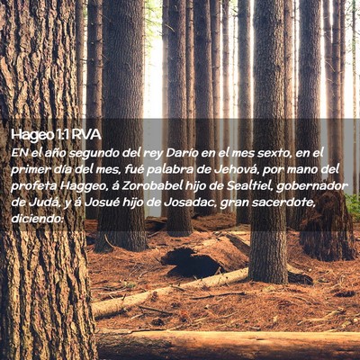 Picture 02 - Hageo 1:1 RVA - EN el año segundo del rey Darío en el mes - Bible Verse Picture