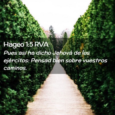 Picture 02 - Hageo 1:5 RVA - Pues así ha dicho Jehová de los ejércitos: - Bible Verse Picture