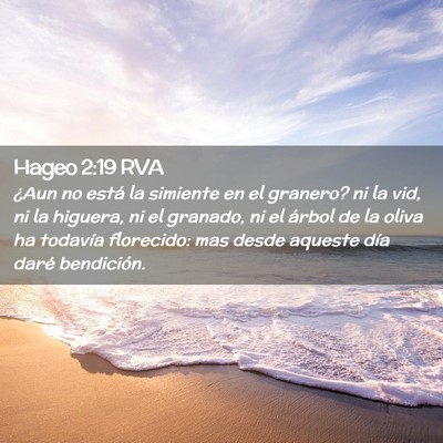 Picture 02 - Hageo 2:19 RVA - ¿Aun no está la simiente en el granero? ni la - Bible Verse Picture