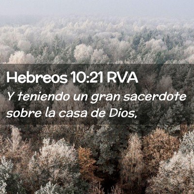 Picture 02 - Hebreos 10:21 RVA - Y teniendo un gran sacerdote sobre la casa de - Bible Verse Picture