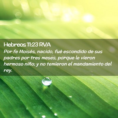 Picture 02 - Hebreos 11:23 RVA - Por fe Moisés, nacido, fué escondido de sus - Bible Verse Picture