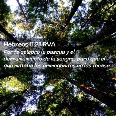 Picture 02 - Hebreos 11:28 RVA - Por fe celebró la pascua y el derramamiento de - Bible Verse Picture