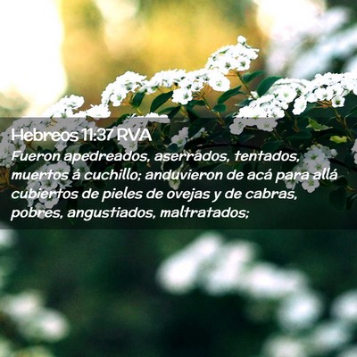Picture 02 - Hebreos 11:37 RVA - Fueron apedreados, aserrados, tentados, muertos - Bible Verse Picture