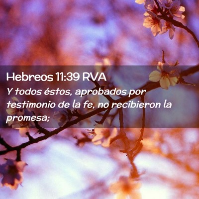 Picture 02 - Hebreos 11:39 RVA - Y todos éstos, aprobados por testimonio de la - Bible Verse Picture