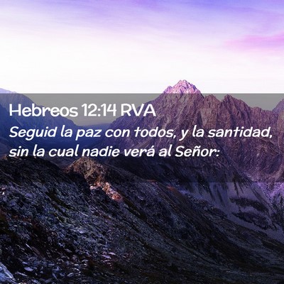 Picture 02 - Hebreos 12:14 RVA - Seguid la paz con todos, y la santidad, sin la - Bible Verse Picture