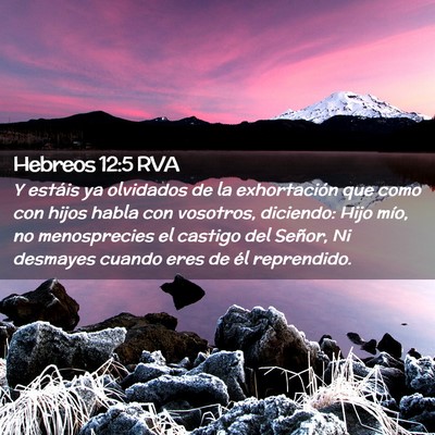 Picture 02 - Hebreos 12:5 RVA - Y estáis ya olvidados de la exhortación que - Bible Verse Picture