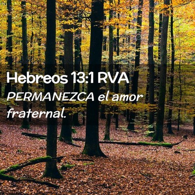 Picture 02 - Hebreos 13:1 RVA - PERMANEZCA el amor - Bible Verse Picture