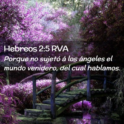 Picture 02 - Hebreos 2:5 RVA - Porque no sujetó á los ángeles el mundo - Bible Verse Picture
