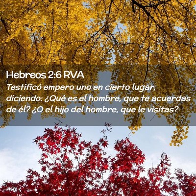 Picture 02 - Hebreos 2:6 RVA - Testificó empero uno en cierto lugar, diciendo: - Bible Verse Picture