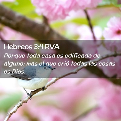 Picture 02 - Hebreos 3:4 RVA - Porque toda casa es edificada de alguno: mas el - Bible Verse Picture