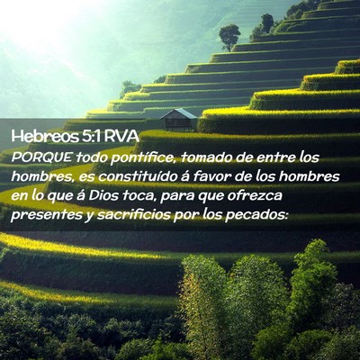 Picture 02 - Hebreos 5:1 RVA - PORQUE todo pontífice, tomado de entre los - Bible Verse Picture