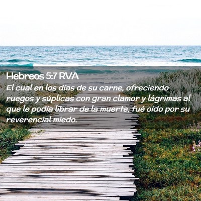 Picture 02 - Hebreos 5:7 RVA - El cual en los días de su carne, ofreciendo - Bible Verse Picture