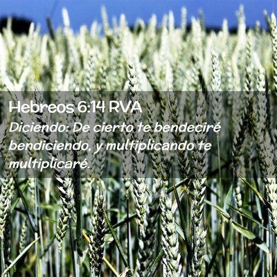 Picture 02 - Hebreos 6:14 RVA - Diciendo: De cierto te bendeciré bendiciendo, y - Bible Verse Picture