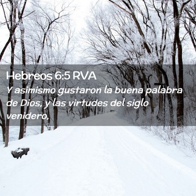 Picture 02 - Hebreos 6:5 RVA - Y asimismo gustaron la buena palabra de Dios, y - Bible Verse Picture