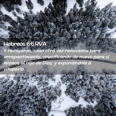 Picture 02 - Hebreos 6:6 RVA - Y recayeron, sean otra vez renovados para - Bible Verse Picture