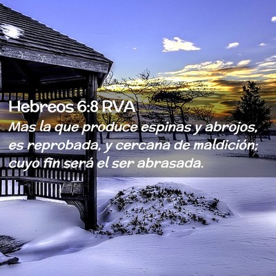 Picture 02 - Hebreos 6:8 RVA - Mas la que produce espinas y abrojos, es - Bible Verse Picture