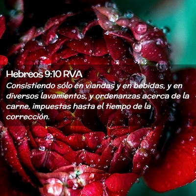 Picture 02 - Hebreos 9:10 RVA - Consistiendo sólo en viandas y en bebidas, y en - Bible Verse Picture