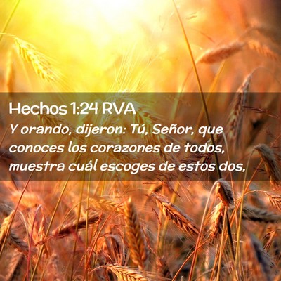 Picture 02 - Hechos 1:24 RVA - Y orando, dijeron: Tú, Señor, que conoces los - Bible Verse Picture