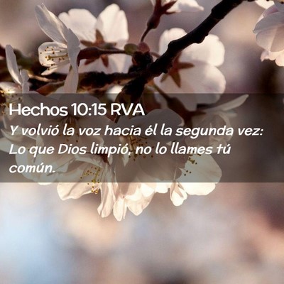Picture 02 - Hechos 10:15 RVA - Y volvió la voz hacia él la segunda vez: Lo que - Bible Verse Picture