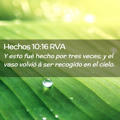 Picture 02 - Hechos 10:16 RVA - Y esto fué hecho por tres veces; y el vaso - Bible Verse Picture