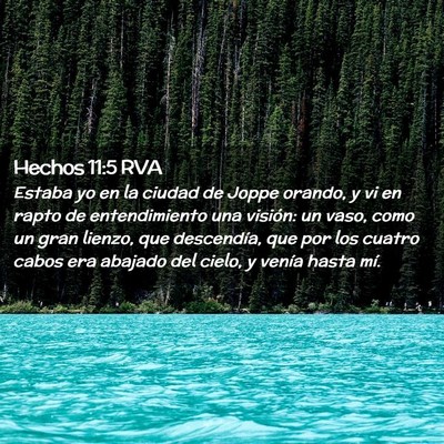 Picture 02 - Hechos 11:5 RVA - Estaba yo en la ciudad de Joppe orando, y vi en - Bible Verse Picture