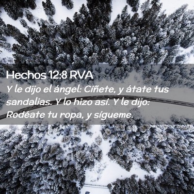 Picture 02 - Hechos 12:8 RVA - Y le dijo el ángel: Cíñete, y átate tus - Bible Verse Picture