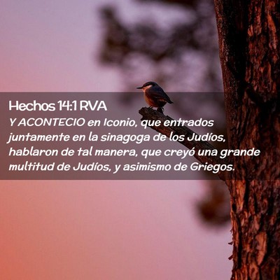 Picture 02 - Hechos 14:1 RVA - Y ACONTECIO en Iconio, que entrados juntamente en - Bible Verse Picture
