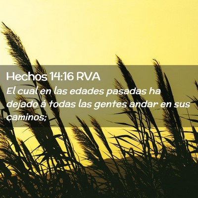 Picture 02 - Hechos 14:16 RVA - El cual en las edades pasadas ha dejado á todas - Bible Verse Picture