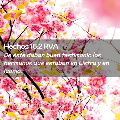 Picture 02 - Hechos 16:2 RVA - De éste daban buen testimonio los hermanos que - Bible Verse Picture