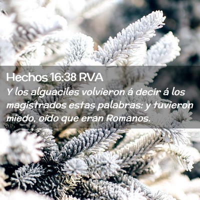 Picture 02 - Hechos 16:38 RVA - Y los alguaciles volvieron á decir á los - Bible Verse Picture