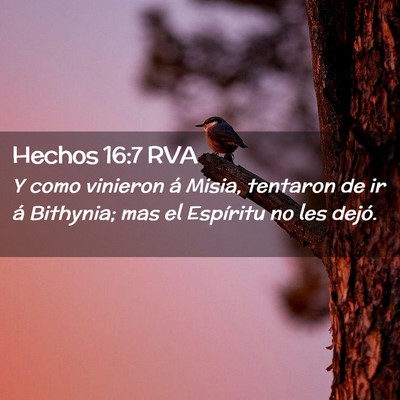 Picture 02 - Hechos 16:7 RVA - Y como vinieron á Misia, tentaron de ir á - Bible Verse Picture