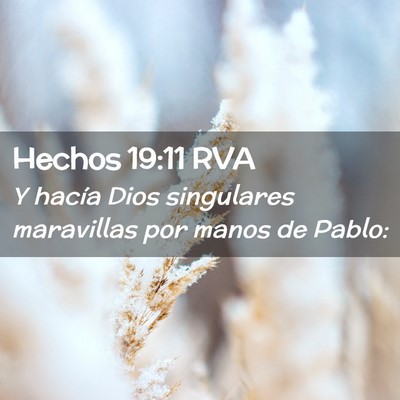 Picture 02 - Hechos 19:11 RVA - Y hacía Dios singulares maravillas por manos de - Bible Verse Picture