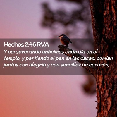 Picture 02 - Hechos 2:46 RVA - Y perseverando unánimes cada día en el templo, - Bible Verse Picture