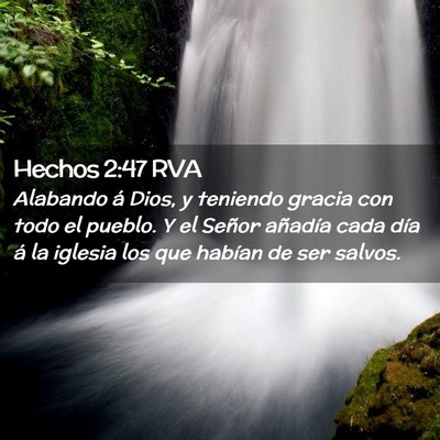 Picture 02 - Hechos 2:47 RVA - Alabando á Dios, y teniendo gracia con todo el - Bible Verse Picture