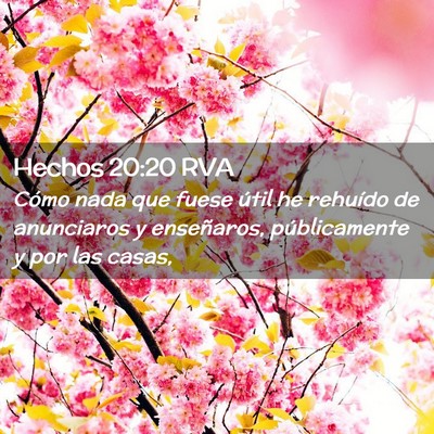 Picture 02 - Hechos 20:20 RVA - Cómo nada que fuese útil he rehuído de - Bible Verse Picture