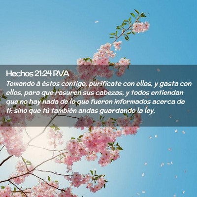 Picture 02 - Hechos 21:24 RVA - Tomando á éstos contigo, purifícate con ellos, - Bible Verse Picture
