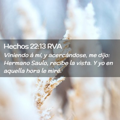 Picture 02 - Hechos 22:13 RVA - Viniendo á mí, y acercándose, me dijo: Hermano - Bible Verse Picture