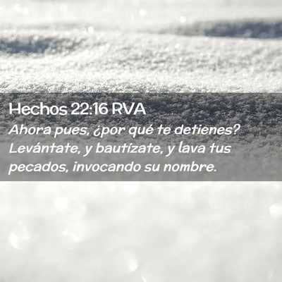 Picture 02 - Hechos 22:16 RVA - Ahora pues, ¿por qué te detienes? Levántate, y - Bible Verse Picture