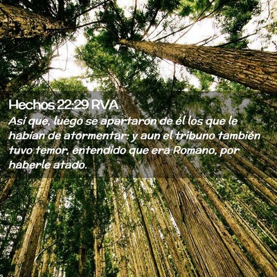 Picture 02 - Hechos 22:29 RVA - Así que, luego se apartaron de él los que le - Bible Verse Picture
