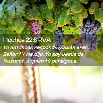 Picture 02 - Hechos 22:8 RVA - Yo entonces respondí: ¿Quién eres, Señor? Y - Bible Verse Picture