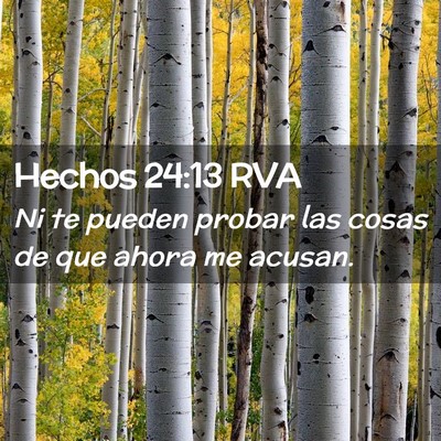 Picture 02 - Hechos 24:13 RVA - Ni te pueden probar las cosas de que ahora me - Bible Verse Picture