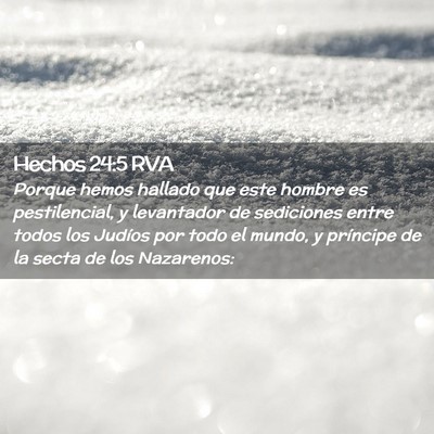 Picture 02 - Hechos 24:5 RVA - Porque hemos hallado que este hombre es - Bible Verse Picture