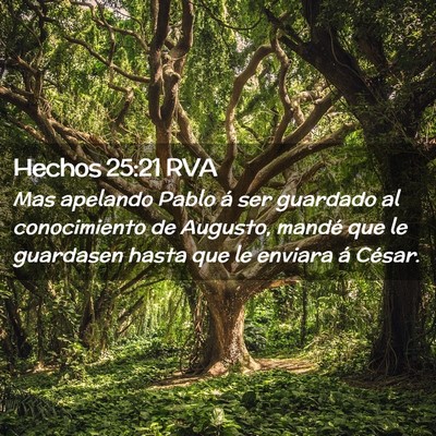 Picture 02 - Hechos 25:21 RVA - Mas apelando Pablo á ser guardado al - Bible Verse Picture