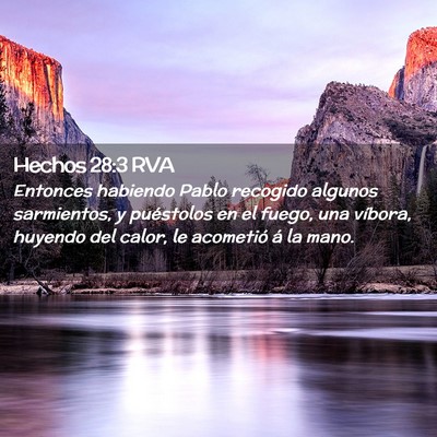 Picture 02 - Hechos 28:3 RVA - Entonces habiendo Pablo recogido algunos - Bible Verse Picture