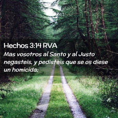 Picture 02 - Hechos 3:14 RVA - Mas vosotros al Santo y al Justo negasteis, y - Bible Verse Picture