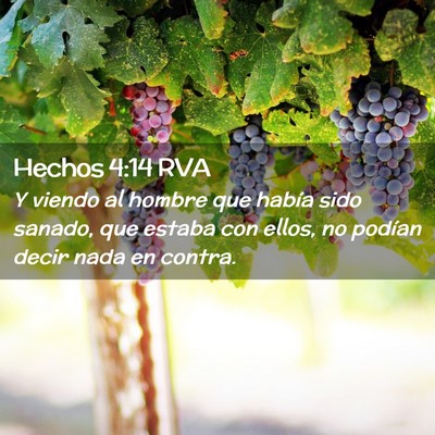 Picture 02 - Hechos 4:14 RVA - Y viendo al hombre que había sido sanado, que - Bible Verse Picture