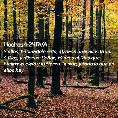 Picture 02 - Hechos 4:24 RVA - Y ellos, habiéndolo oído, alzaron unánimes la - Bible Verse Picture